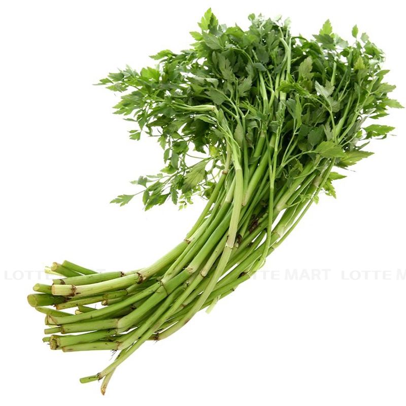  CAN NUOC VGAP XD 300G 