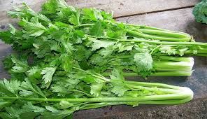  CAN TAY VGAP XD 300G 