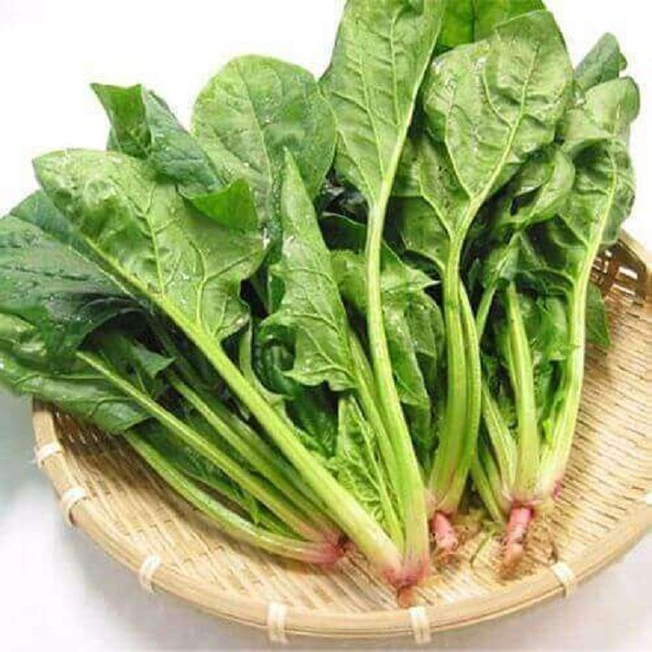  RAU CAI BO XOI VGAP XD 300G 
