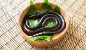  LUON LAM SACH NGUYEN CON 6 - 8 CON 