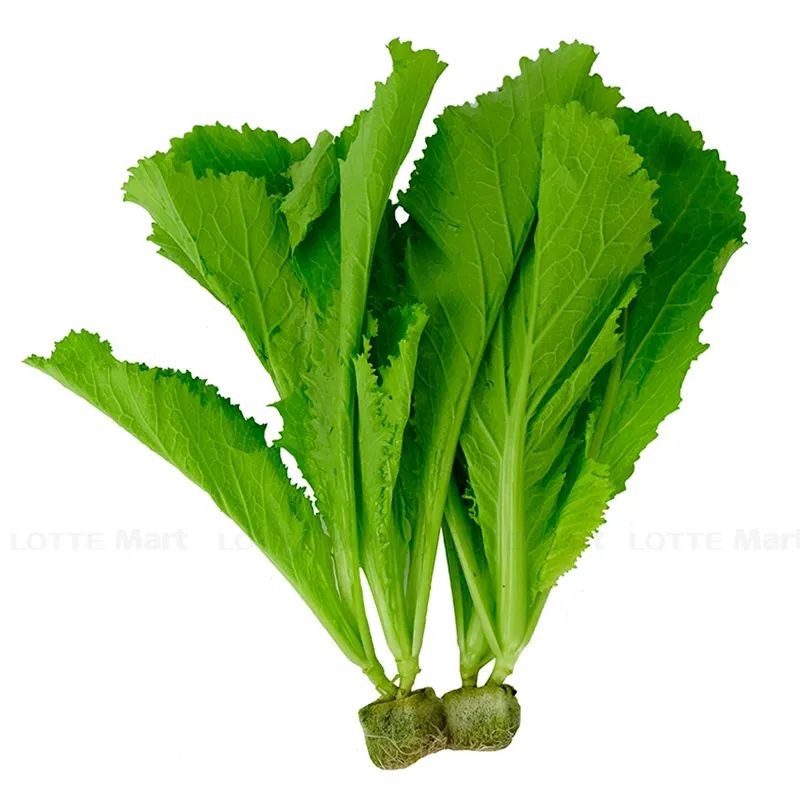  CAI BE XANH THUY CANH 300G VPP 