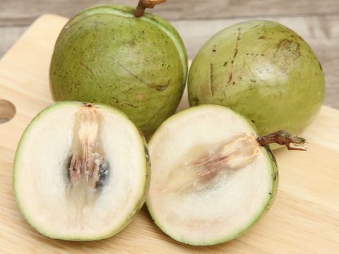  VU SUA LO REN 3-4 TRAI/KG 