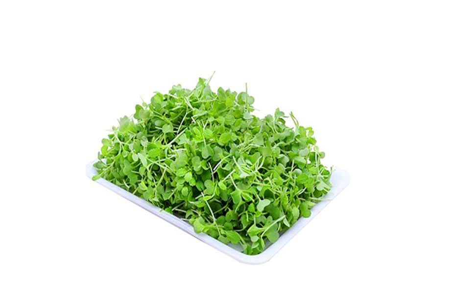  XA LACH XOONG LA NHO 