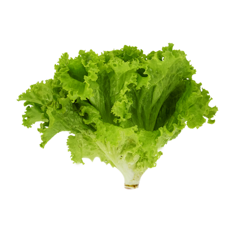  XA LACH LOLO XANH 150G UP 