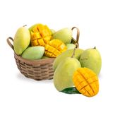  XOAI CAT HOA LOC 450G - 600G/TRAI 