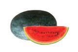  DUA HAU RUOT DO SIZE 1.6KG - 2KG 