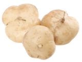  CU SAN 200-350G 