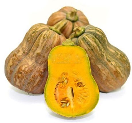  BI DO HO LO 300G -800G 