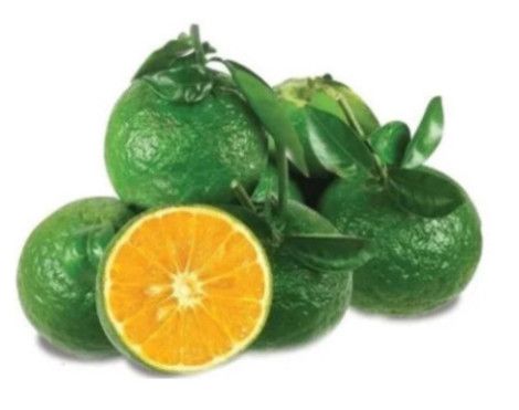  CAM SANH 3- 5 TRAI/KG 