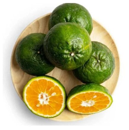  CAM SANH 3- 5 TRAI/KG 