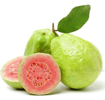  OI DAI LOAN RUOT DO 3-4 TRAI/KG 