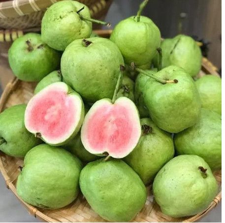  OI DAI LOAN RUOT DO 3-4 TRAI/KG 