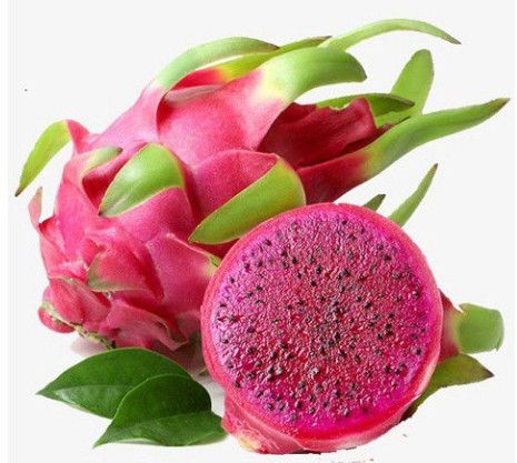  THANH LONG RUOT DO 450G UP 