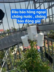 Đầu báo hồng ngoại có dây S61 ngoài trời chống nước, chống báo giả cho ngân hàng,vườn lan,nhà ở,.... giá rẻ nhất