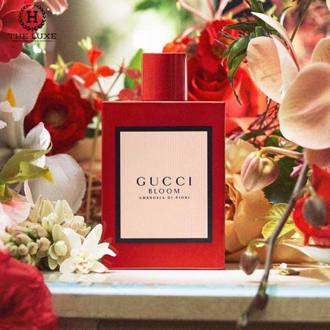  Nước Hoa Gucci Bloom Ambrosia Di Fiori 