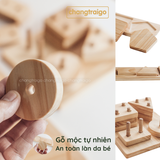 Bộ thả hình khối trụ bằng gỗ, đồ chơi Montessori wood puzzle trí tuệ