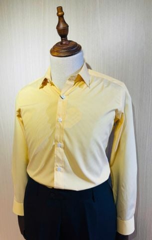  TAY DÀI TD240048 