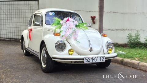  VOLKSWAGEN BEETLE XE CỔ - WD 