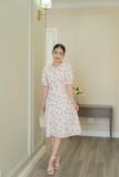  ĐẦM 3619 