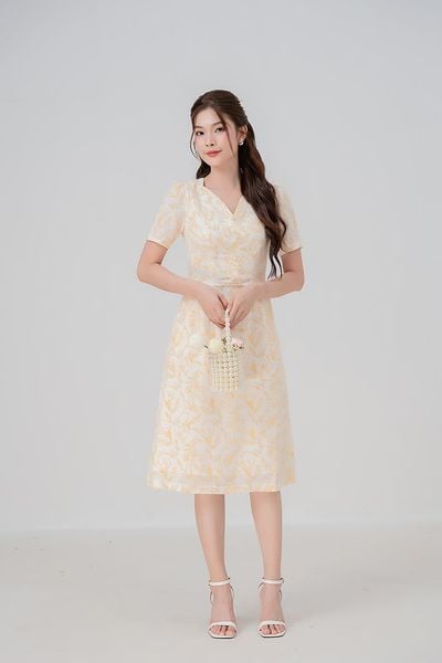  ĐẦM 3627 