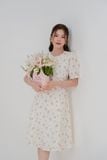  ĐẦM 3619 
