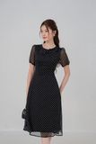  ĐẦM 3624 