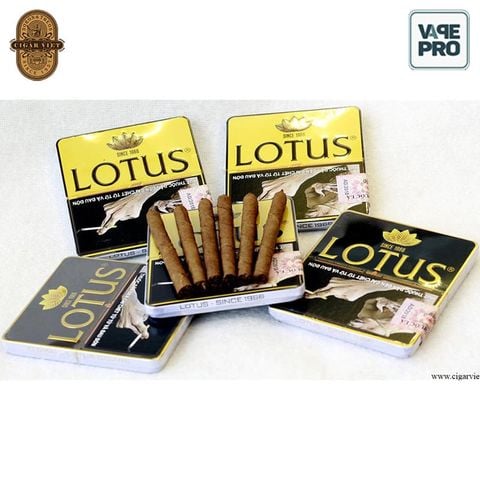 cigar-lotus-mini-10-dieu