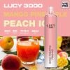 POD DÙNG 1 LẦN CÓ SẠC PIN LUCY 10ML (3.000 hơi) DISPOSABLE BY LUCY