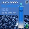 POD DÙNG 1 LẦN CÓ SẠC PIN LUCY 10ML (3.000 hơi) DISPOSABLE BY LUCY