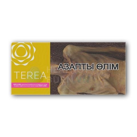 terea-yellow-kazakhstan