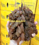 Thompson Class A hộp 500g - Nho khô nguyên cành Úc