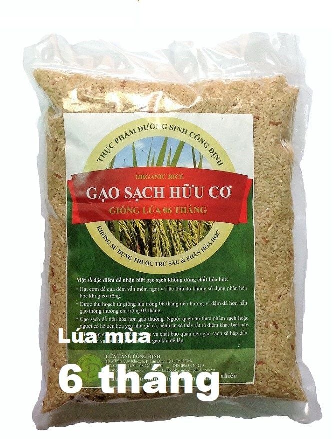Khám Phá Sự Khác Biệt Giữa Cơm Trắng và Cơm Gạo Lứt - Lựa Chọn Thông Minh Cho Dinh Dưỡng