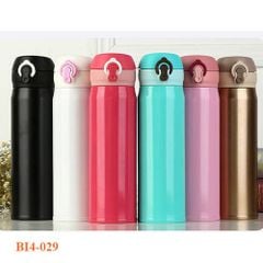 Bình giữ nhiệt 29