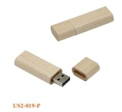 Phôi USB gỗ 19