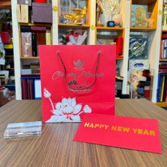 In túi giấy đẹp, chất lượng cao, giá rẻ tại TP HCM - HN