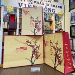 In túi giấy giá rẻ cao cấp tại Hà Nội