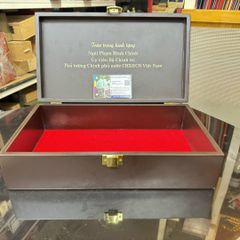 Thiết kế logo chuyên nghiệp