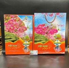 top 10 mẫu lịch tết 2025 hiện nay