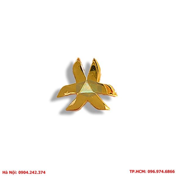 pin - cai - ao - ma - vang