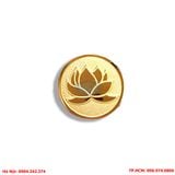 pin - cai - ao - ma - vang