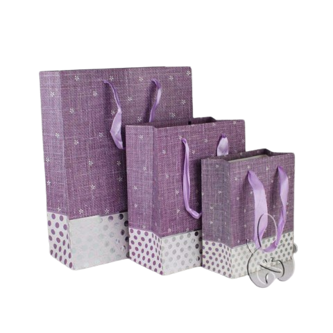 Tui - giay - dep