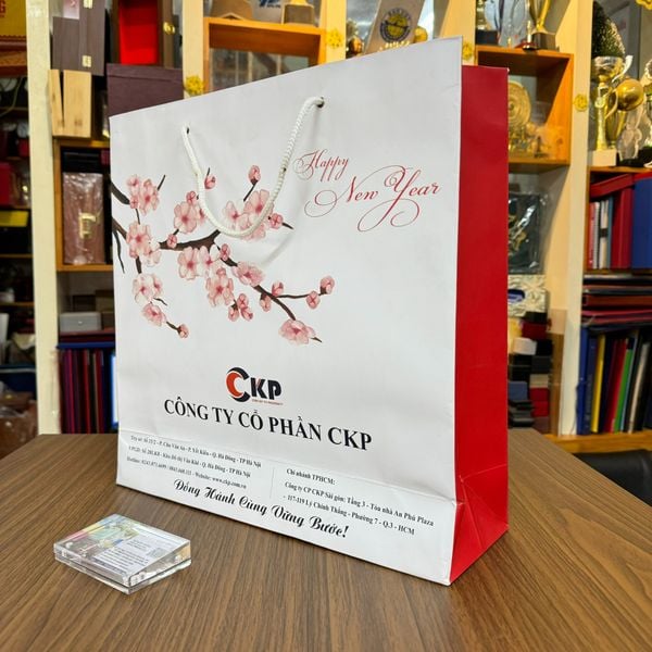 In Túi Giấy Đẹp Tại Hà Nội