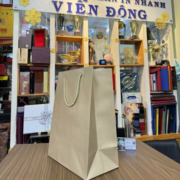 Tui - giay - viendong