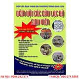 in - to - roi - ha - noi