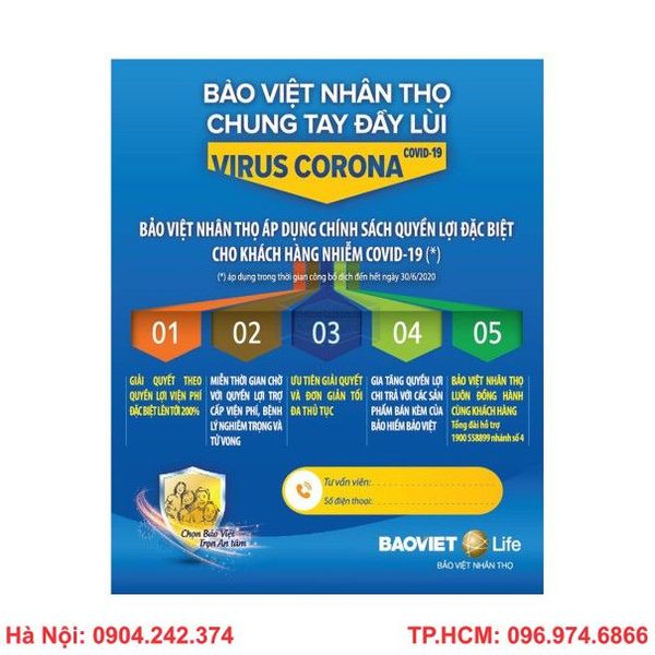 in - to - roi - ha - noi