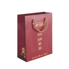 In túi quà tết cho doanh nghiệp