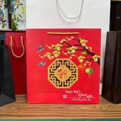 In Túi Đựng Quà Tết 2025 Giá Rẻ Bán Sẵn Đủ Cỡ
