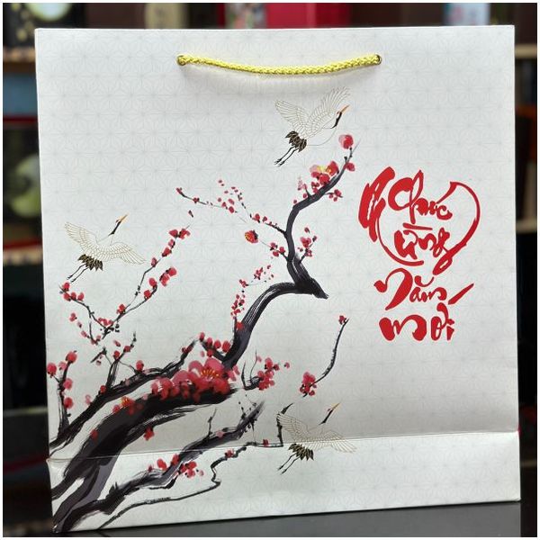 Hộp và Túi quà tặng Tết 2025 Rẻ Đẹp Bán Sẵn