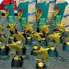 Cúp vinh danh chiến thắng sang trọng có sẵn