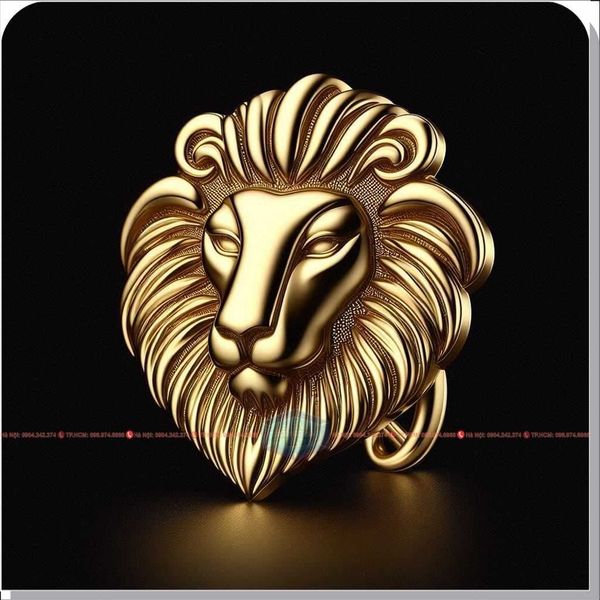 huy - hieu - cai - ao - do - khuon